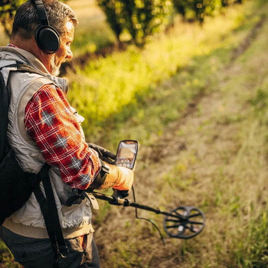 Metal Detecting in Open Field