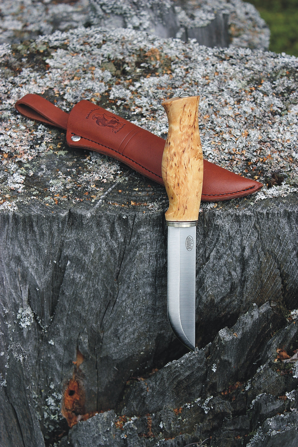 Ahti Kaira Stainless