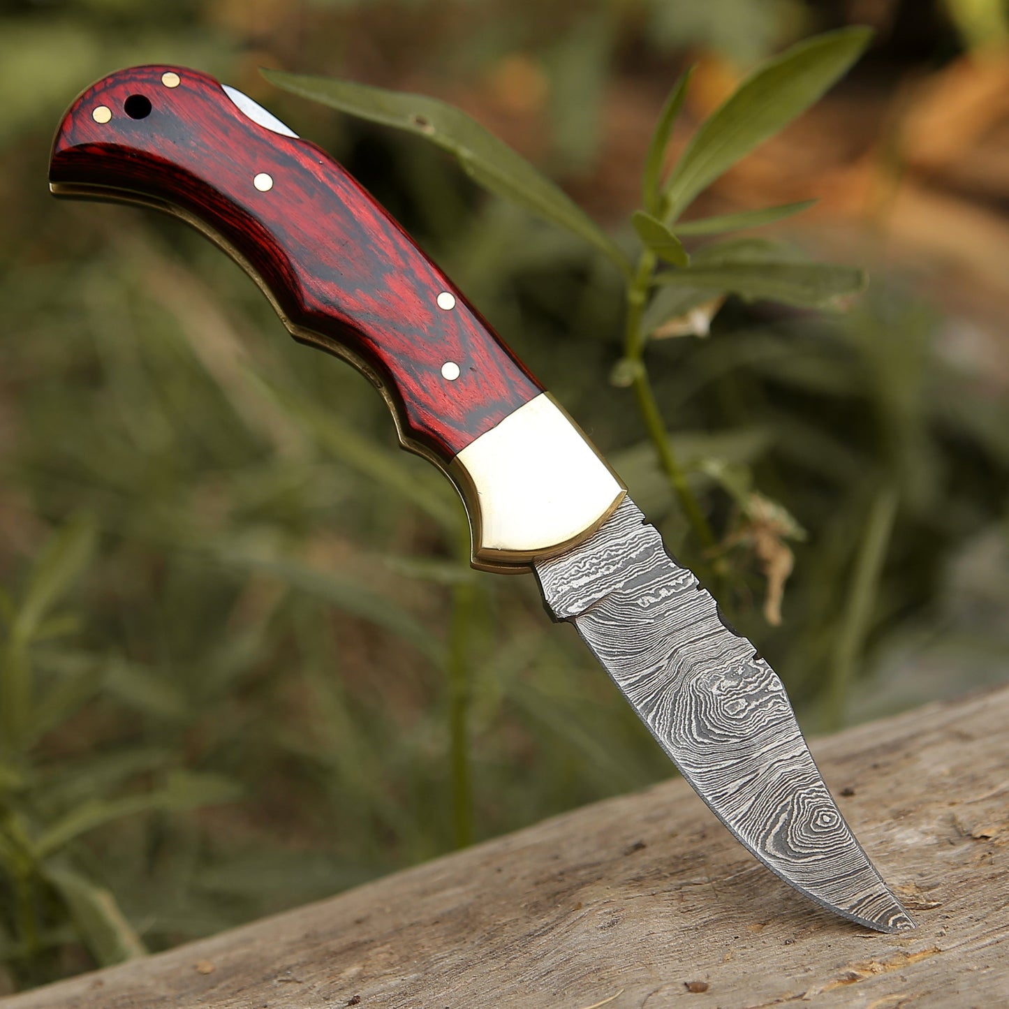 Custom Hand Forged Damascus Steel Folding Knife Stained Wood Handle WH 1255