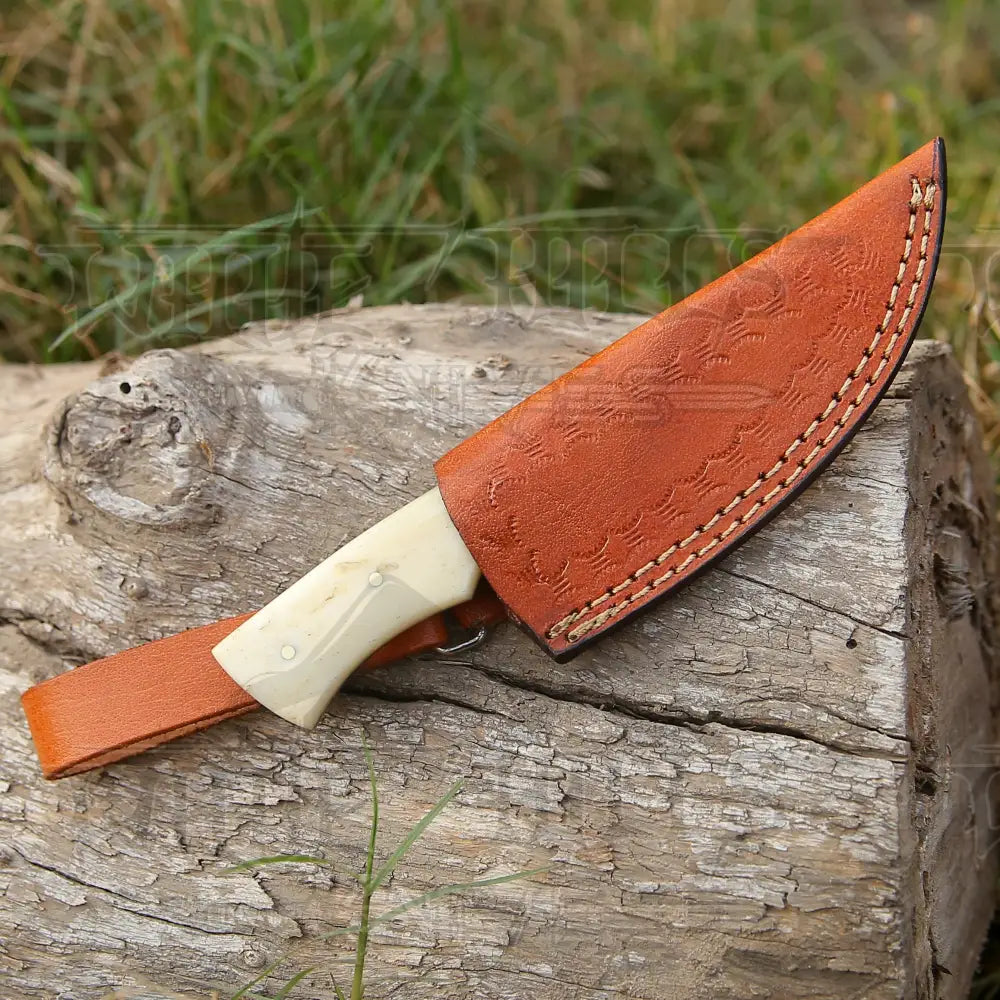Handmade Damascus Steel Skinner Knife - Camel Bone Handle - 5.5" Full Tang Damascus Knife