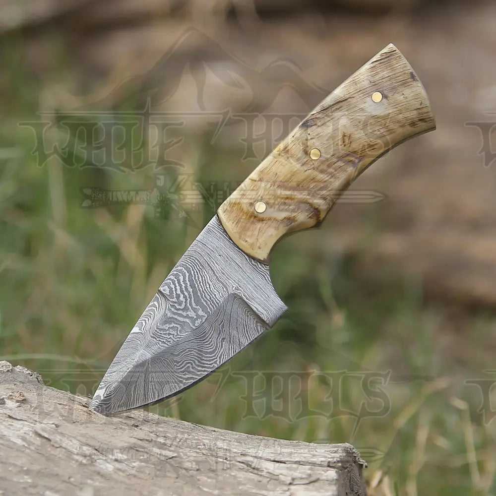 Handmade Damascus Steel Skinner Knife - Ram Horn Handle - 5.5" Full Tang Damascus Knife